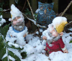 gnomes in snow