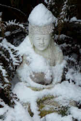 buddha in snow